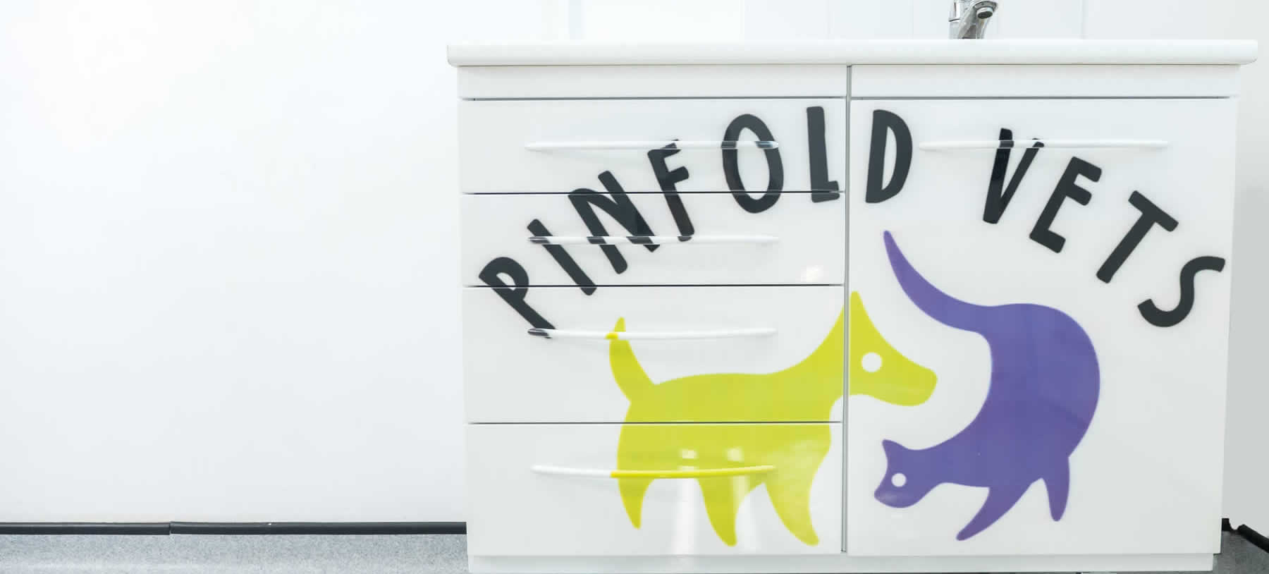 Lorna and Amy at Pinfold Vets