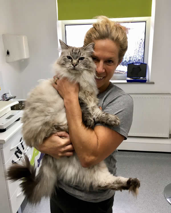 Lorna Clark and cat at Pinfold Vets