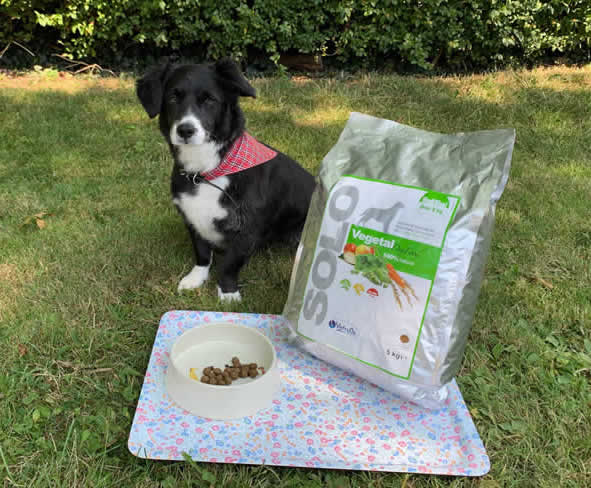 Solo Vegetal from Just be Kind Dog Food